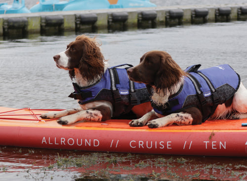 Sup Safety for you and your pooch