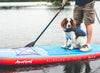 A Complete Guide To Paddle Boarding With Dogs
