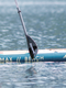 Aquaplanet Carbon Fusionlite Paddle