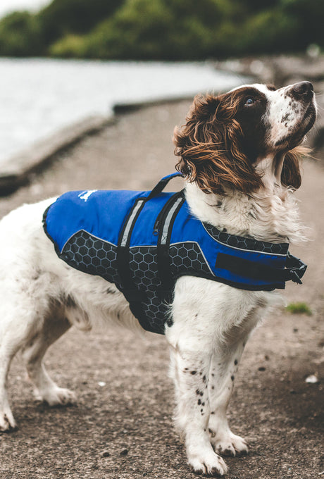 Aquaplanet PUP SUP Pet Buoyancy Aid