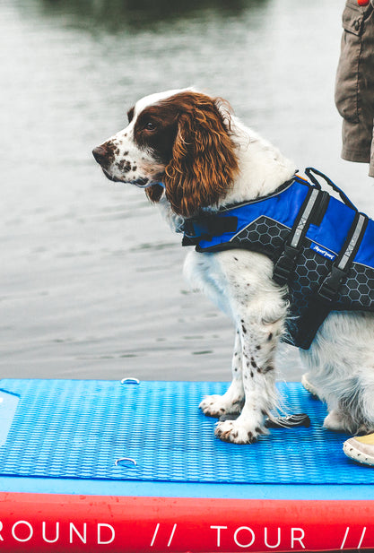 Aquaplanet PUP SUP Pet Buoyancy Aid
